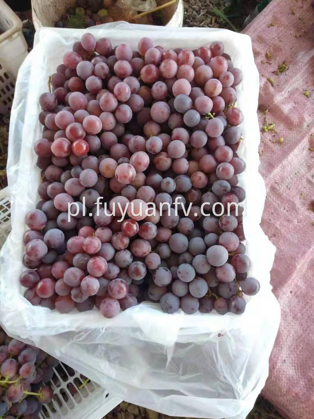 7kg Fresh Xinjiang Grapes